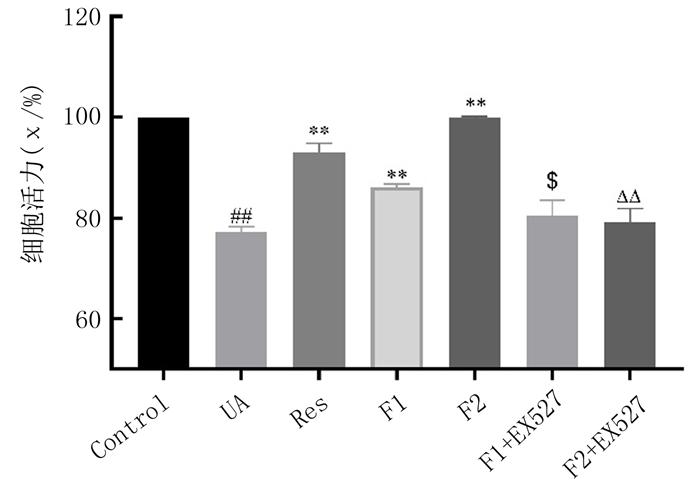 岩藻多糖对高尿酸诱导HepG2细胞凋亡影响及机制